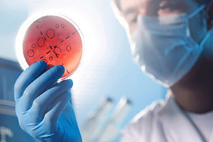 Infectious Diseases